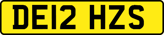 DE12HZS