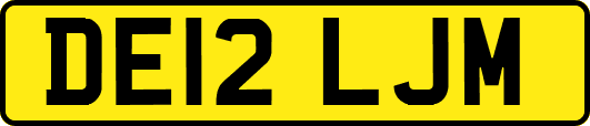DE12LJM
