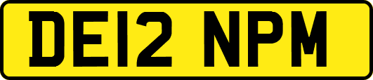 DE12NPM