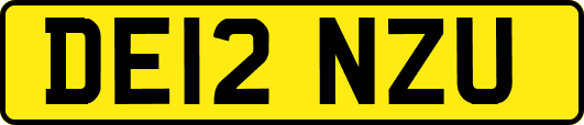 DE12NZU