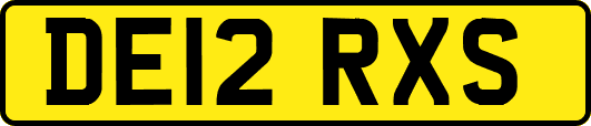 DE12RXS