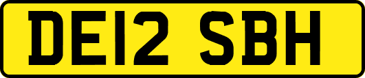 DE12SBH