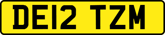 DE12TZM