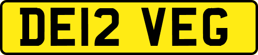 DE12VEG