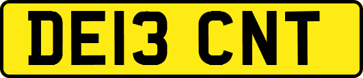 DE13CNT