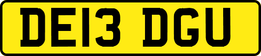 DE13DGU