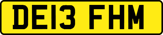 DE13FHM