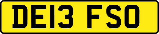 DE13FSO