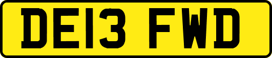 DE13FWD