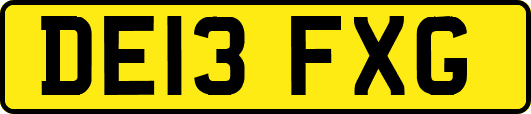 DE13FXG