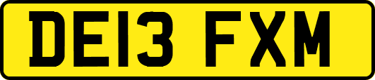 DE13FXM