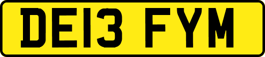 DE13FYM