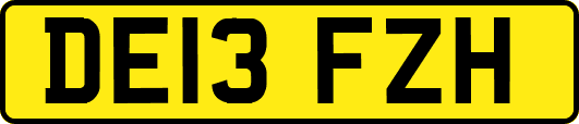 DE13FZH