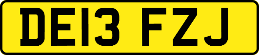 DE13FZJ