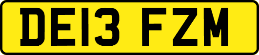 DE13FZM