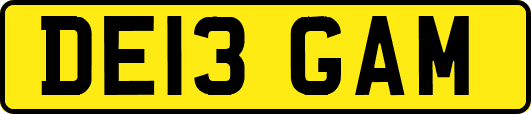 DE13GAM