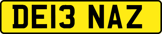DE13NAZ