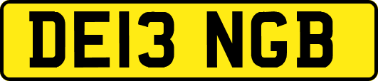 DE13NGB