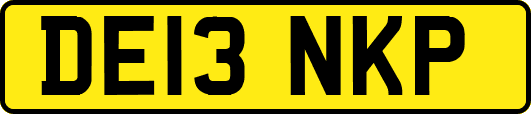 DE13NKP