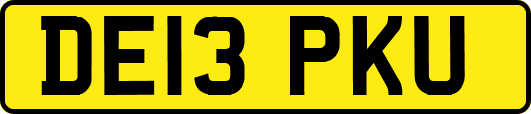 DE13PKU