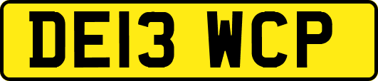 DE13WCP