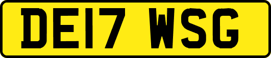 DE17WSG