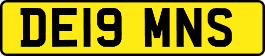 DE19MNS