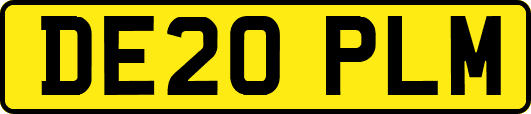 DE20PLM