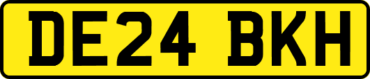 DE24BKH