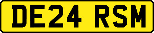 DE24RSM