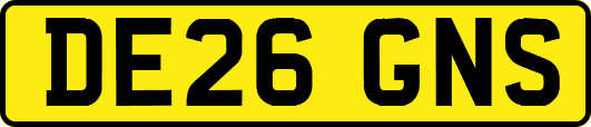 DE26GNS