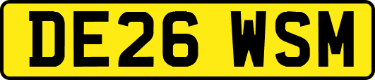 DE26WSM
