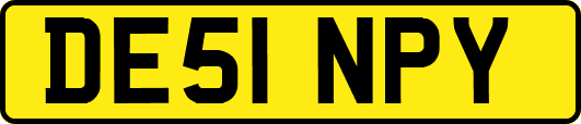 DE51NPY