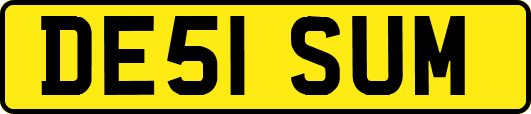 DE51SUM