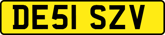 DE51SZV