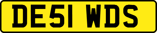 DE51WDS