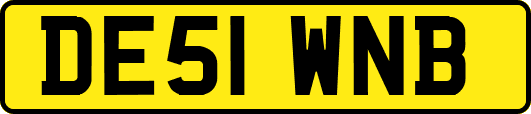 DE51WNB