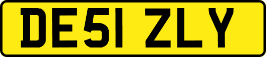 DE51ZLY
