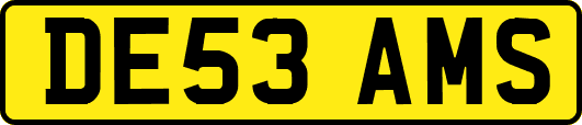 DE53AMS