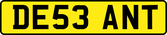 DE53ANT