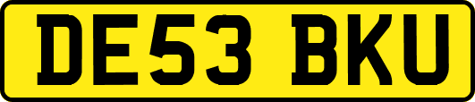 DE53BKU