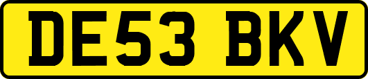 DE53BKV