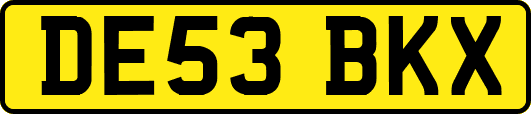 DE53BKX