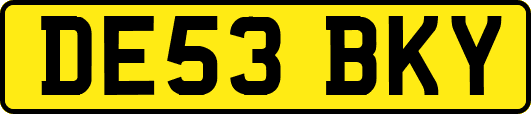 DE53BKY
