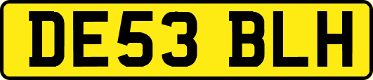 DE53BLH