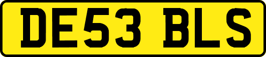 DE53BLS