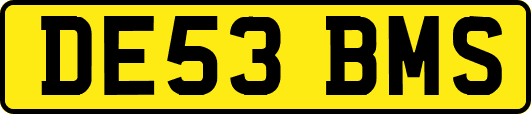 DE53BMS