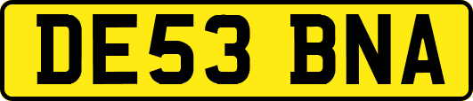DE53BNA