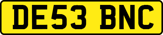 DE53BNC