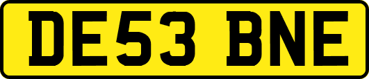 DE53BNE